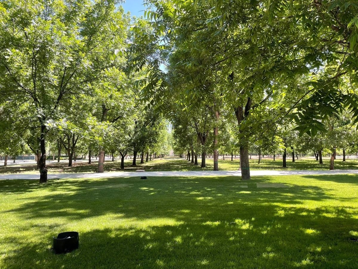 Terreno en Venta ubicado en Haciendas del Nogal