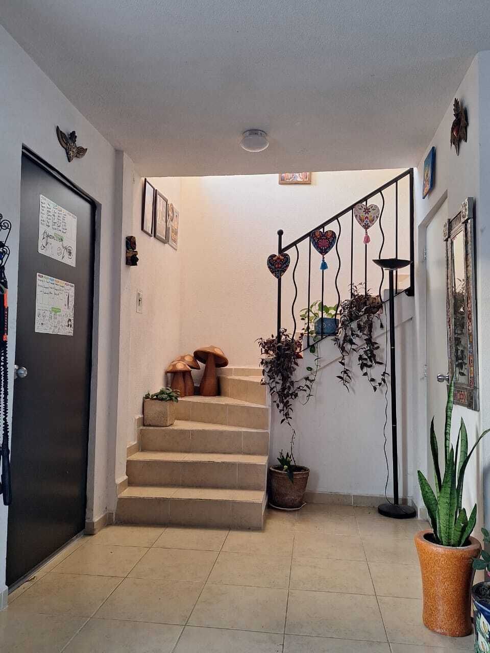 7 de 11