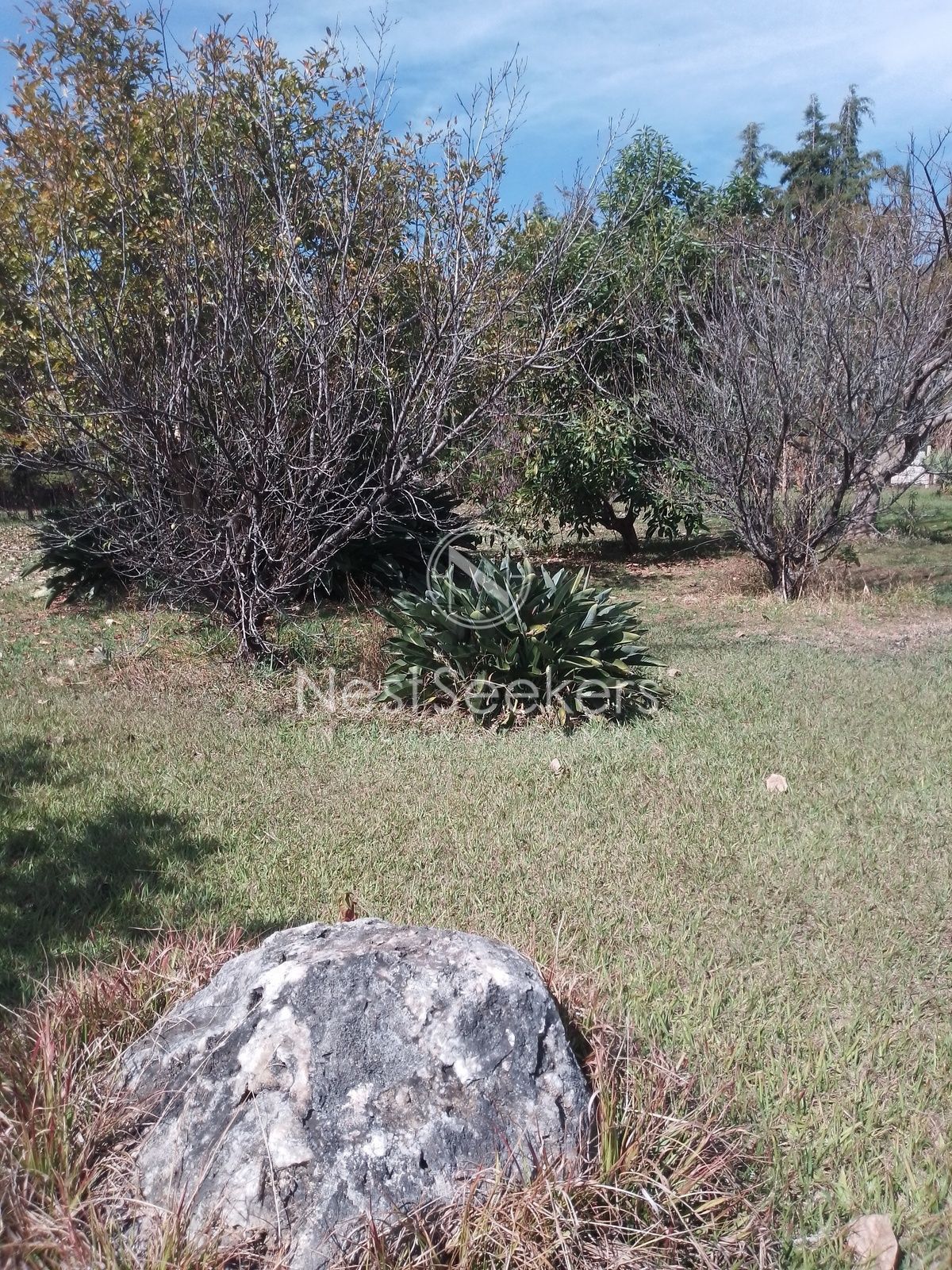 2 of 9
