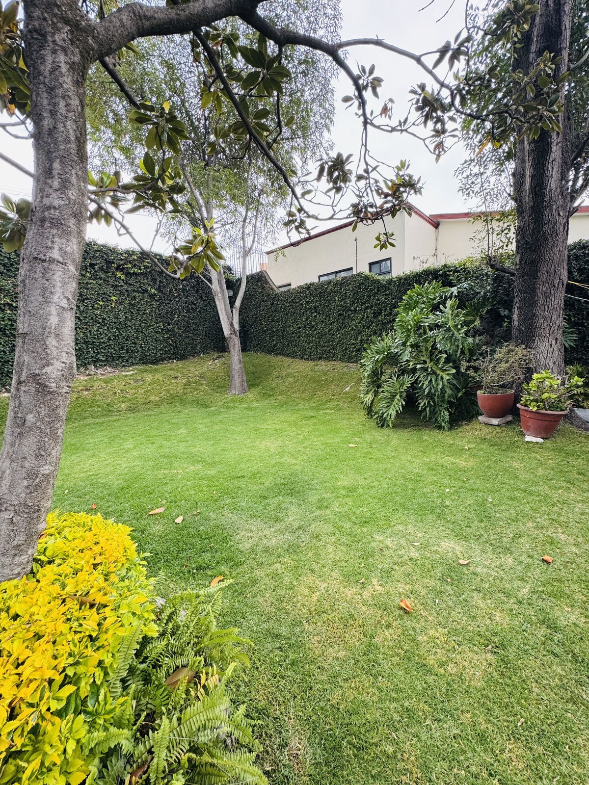 20 de 49