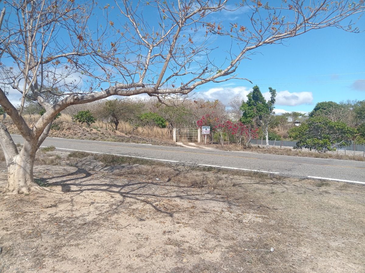 4 de 10