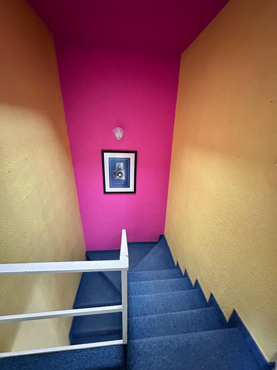 11 de 23