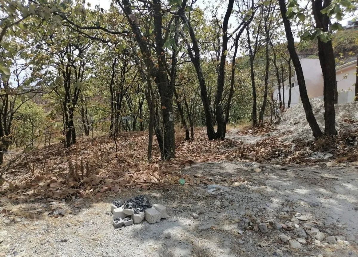 INCREÍBLE TERRENO EN VENTA ARRIBA EN EL PALOMAR - foto 3