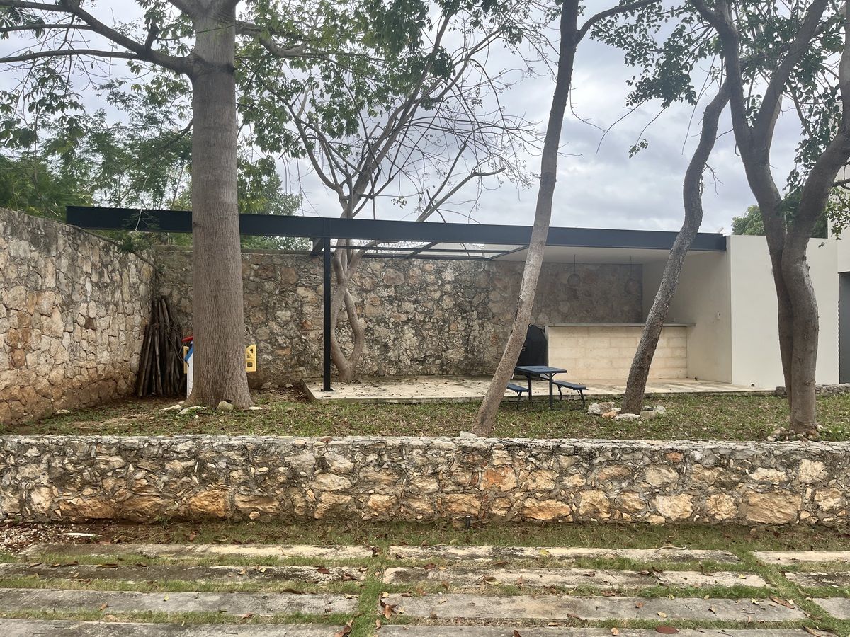 3 de 12