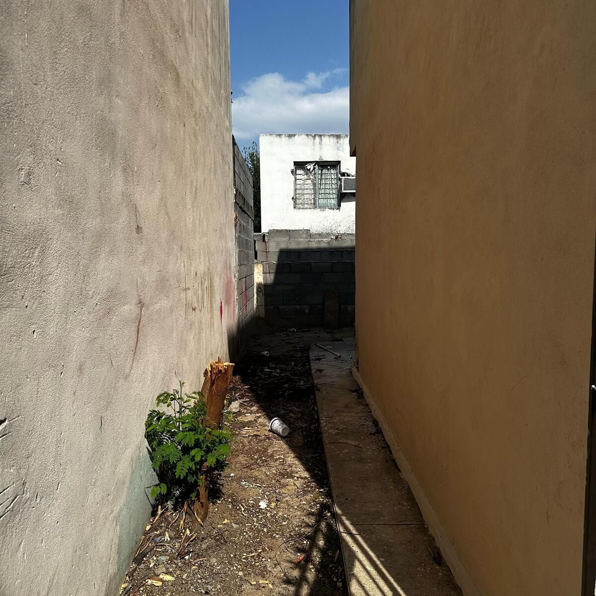 15 de 17