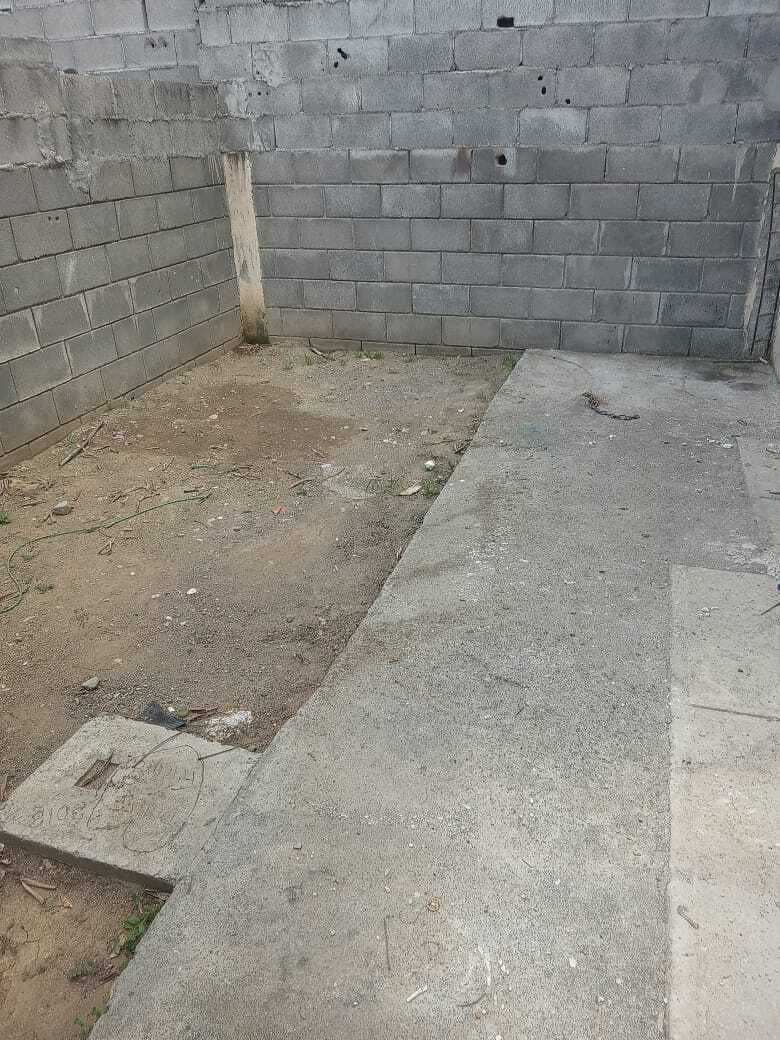 11 de 12