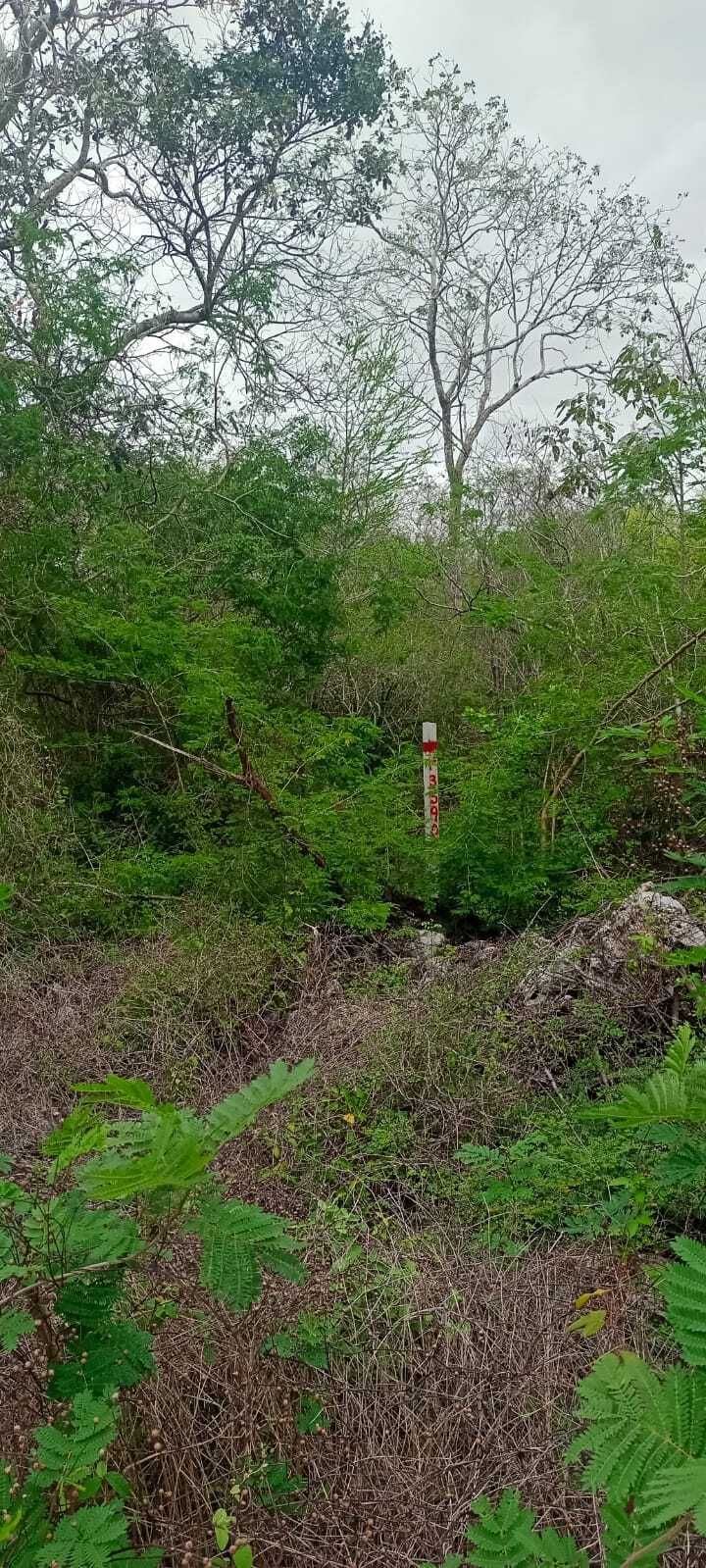 Venta TERRENO KOMCHEN ideal para desarrolladores, centro comercial, bodega - foto 2