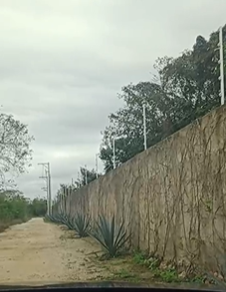 Venta TERRENO KOMCHEN ideal para desarrolladores, centro comercial, bodega - foto 3