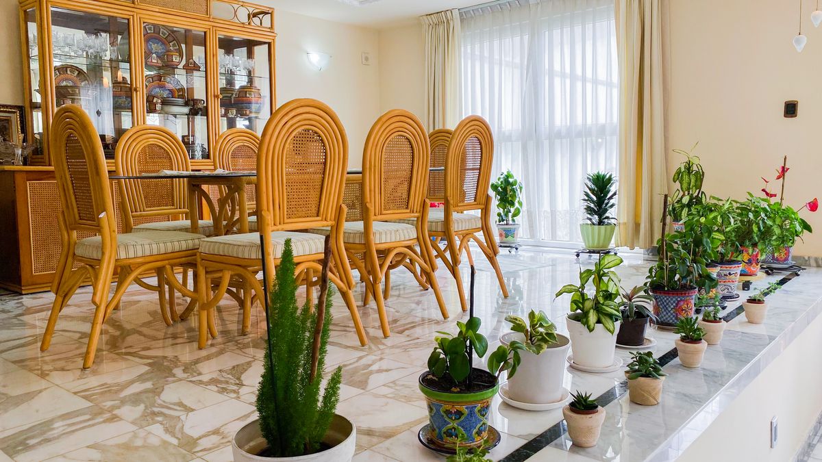 8 de 49: Comedor