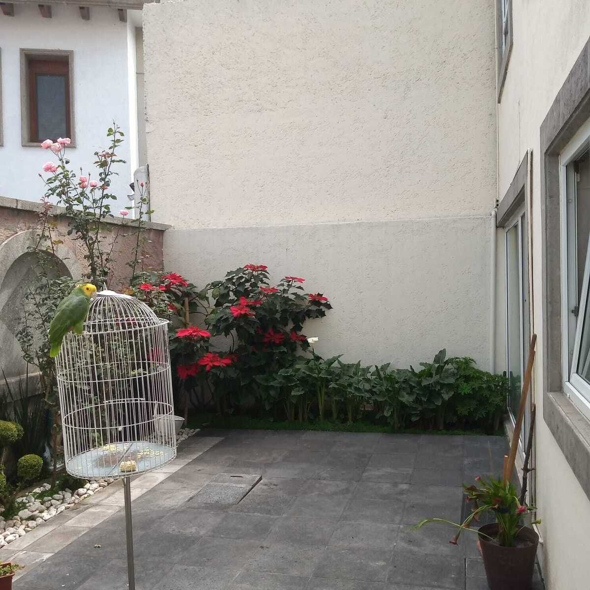 14 de 49: Patio Posterior
