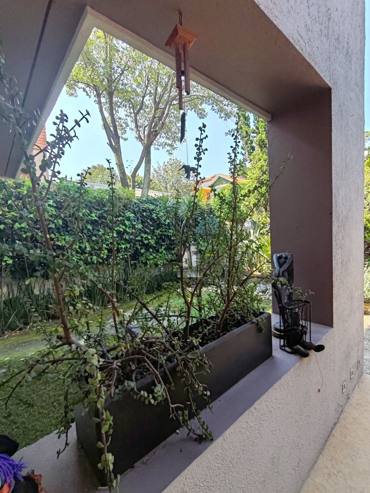 Jardin entrada