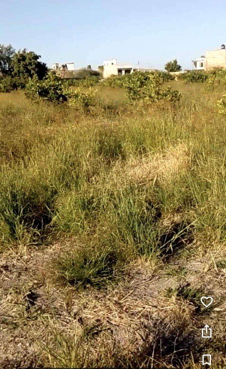 2 de 3: Predio