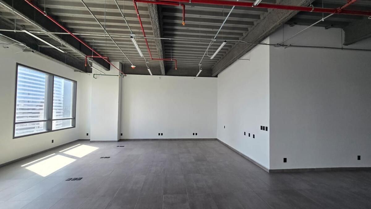 OFFICE FOR SALE COLONIA TABACALERA - foto 4