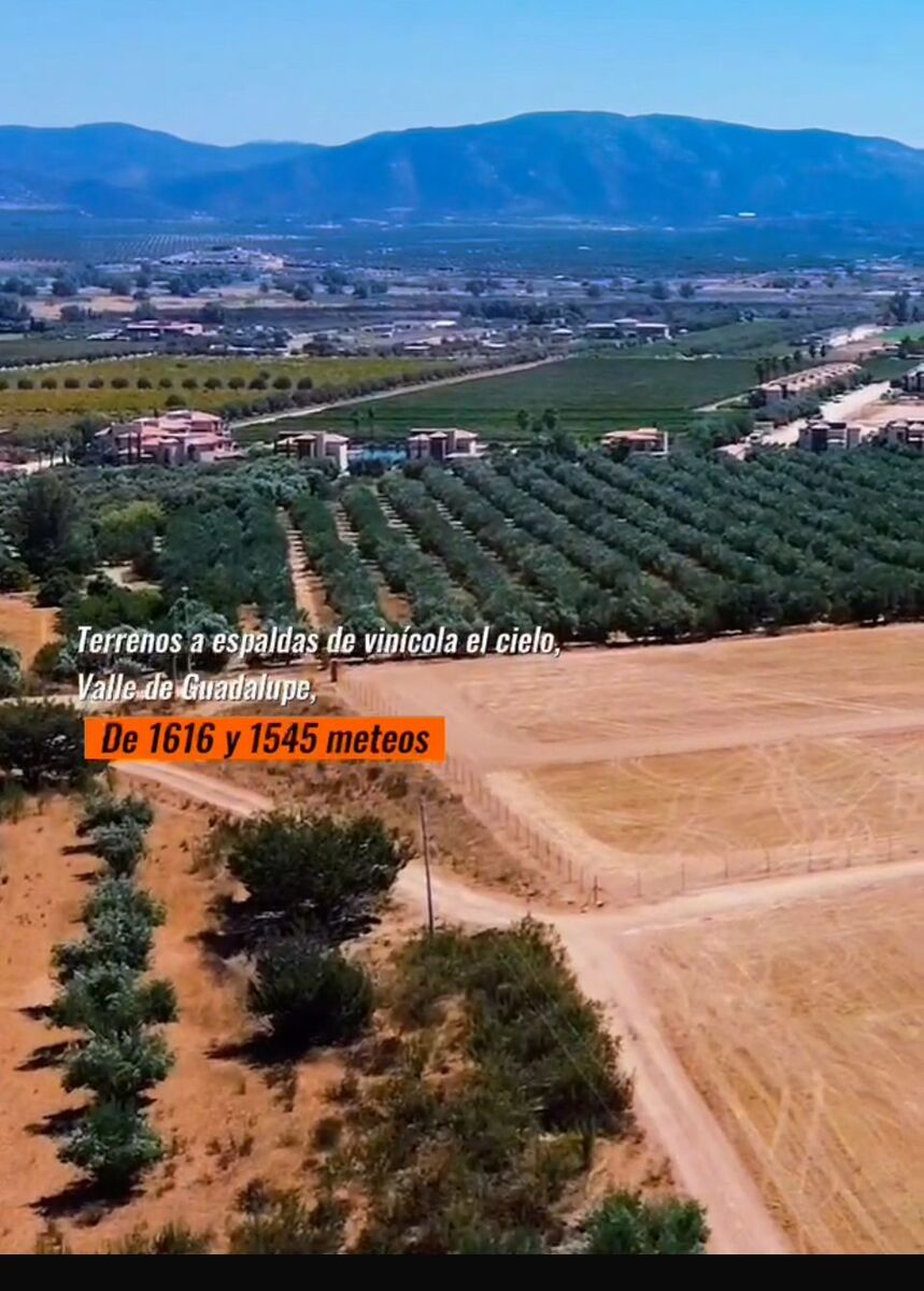 7 de 7