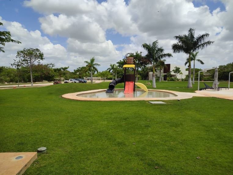 3 de 7