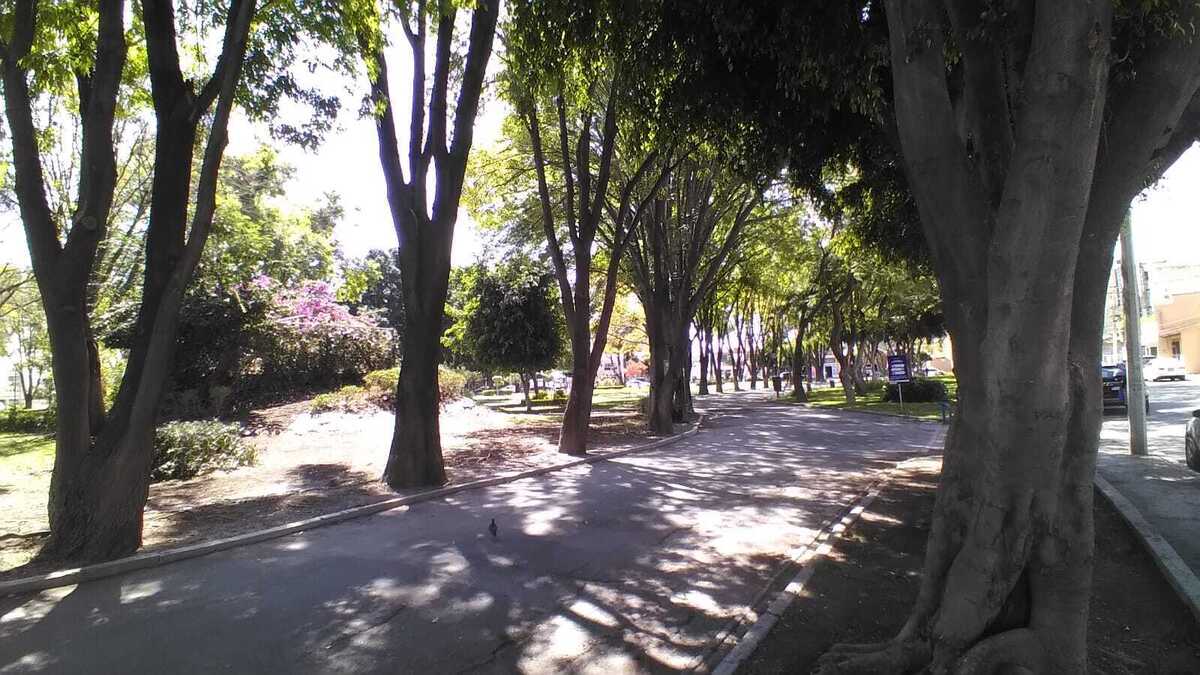 1 de 22