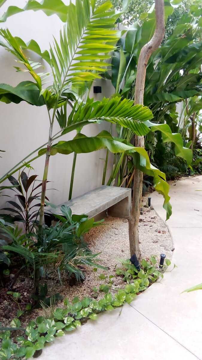 12 de 17: Amenidades del desarrollo