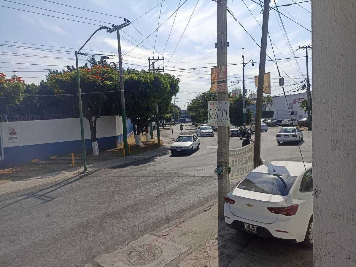 6 de 14