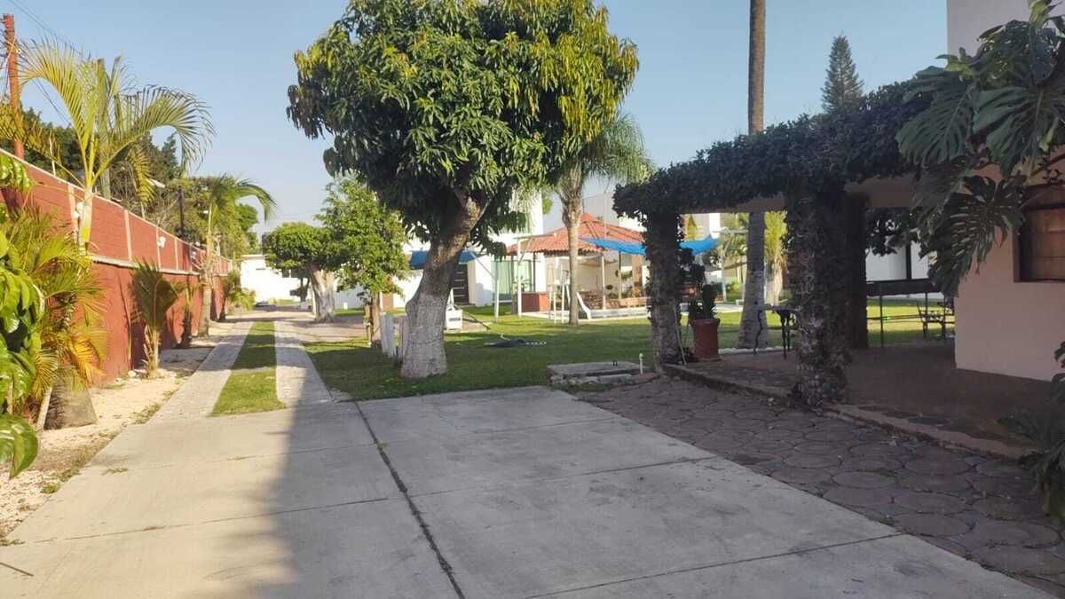 2 de 14