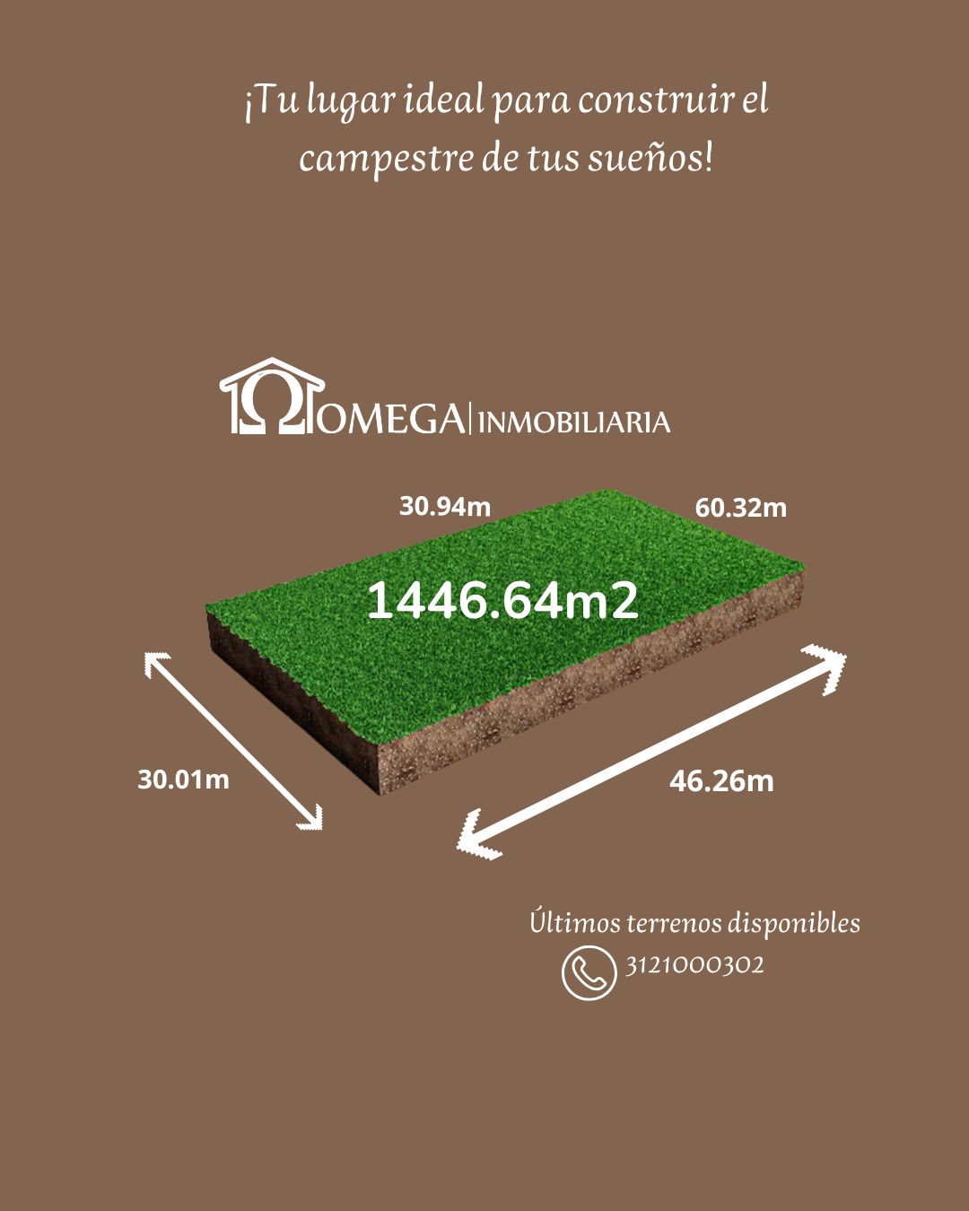 1 de 19