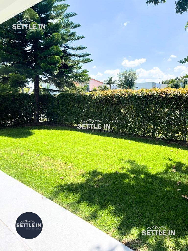 29 de 31