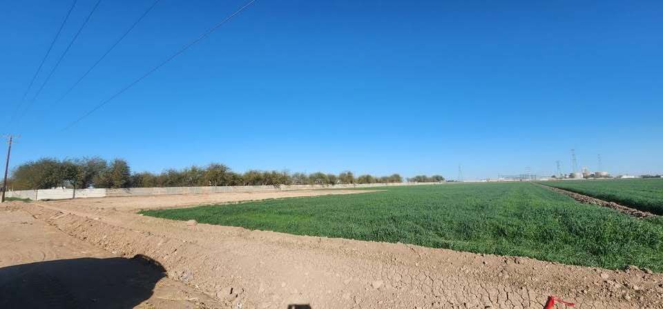 Se Venden 5 Hectareas de Terreno en Ejido Cuernavaca (Sobre la Carretera) [Mexic