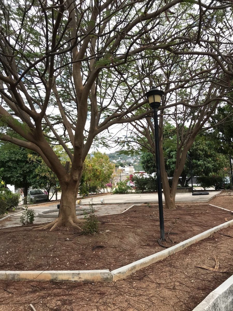 24 de 25: Casa en CIRCUITO SAN JORGE, San Jorge,  Area Común