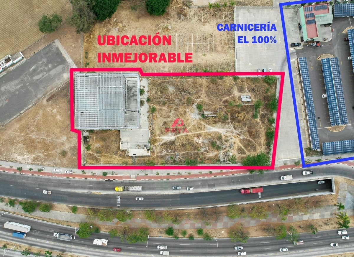 3 de 20