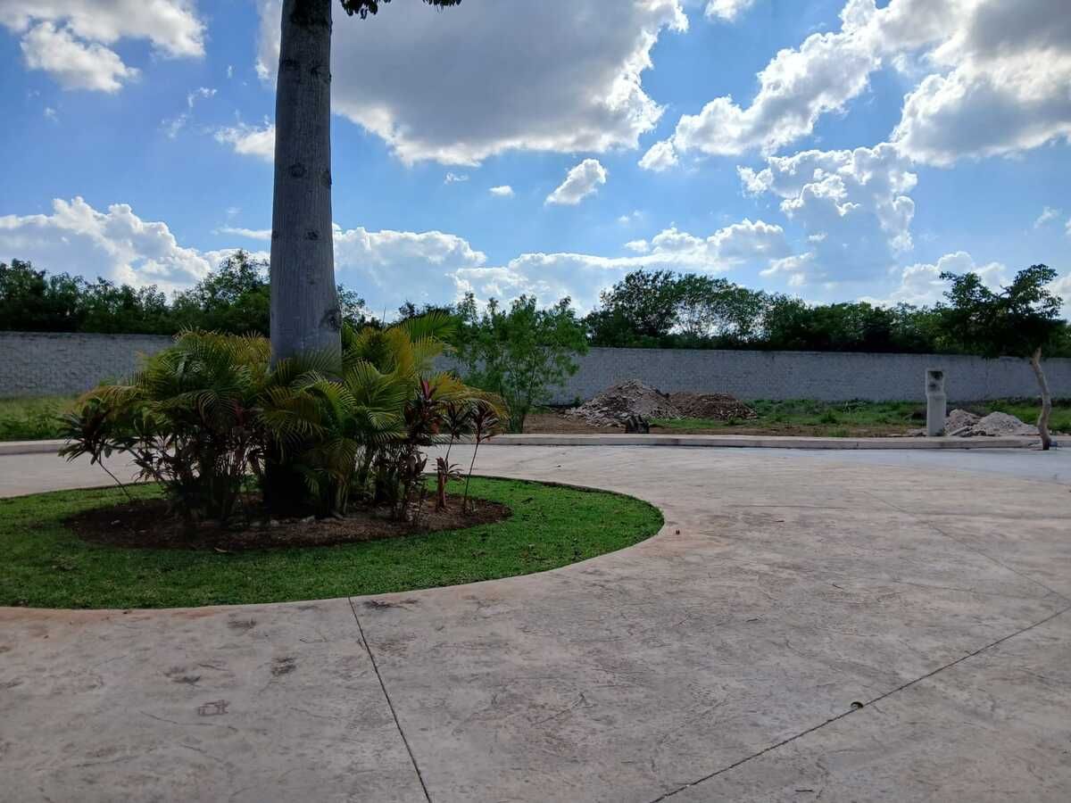 14 de 18: AVANCE DE OBRA