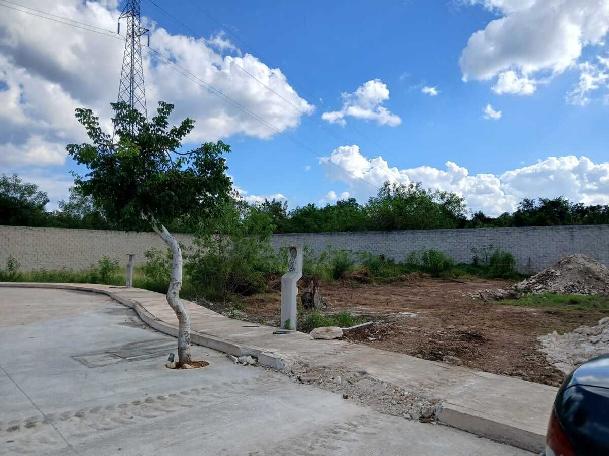 18 de 18: AVANCE DE OBRA