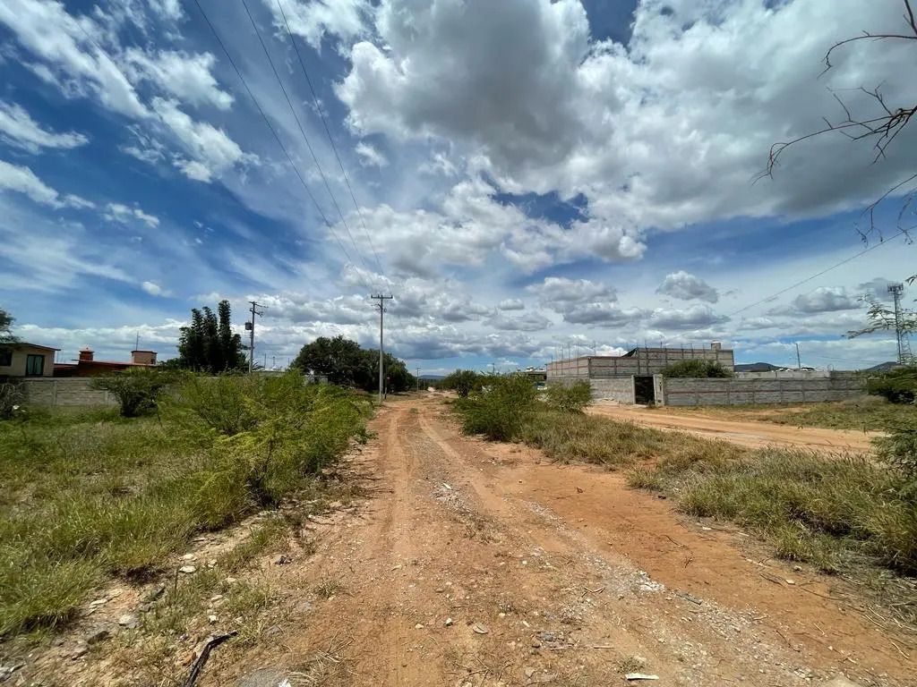 Imagen 6 de 7