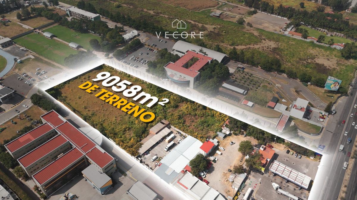 Imagen 9 de 9
