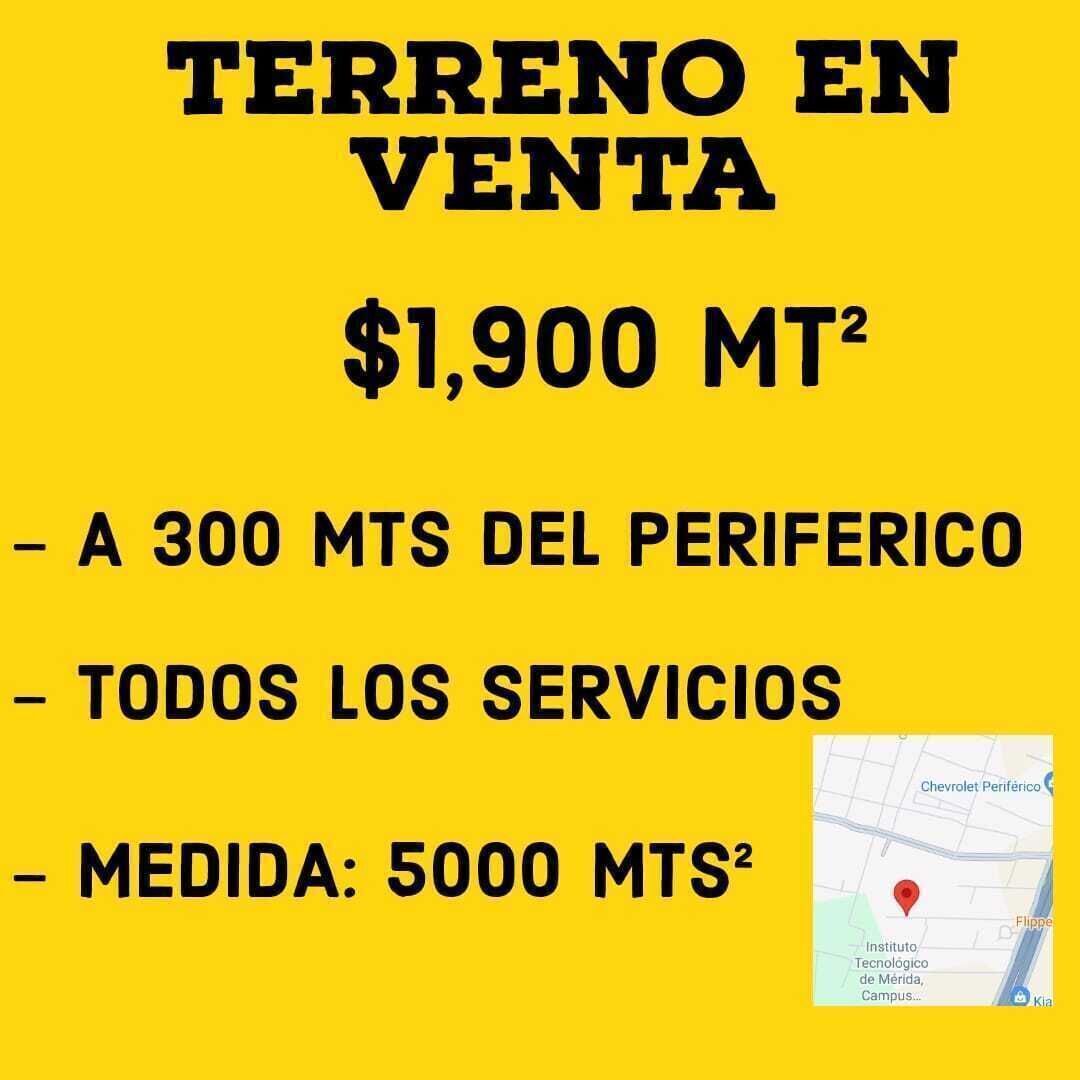 4 de 4