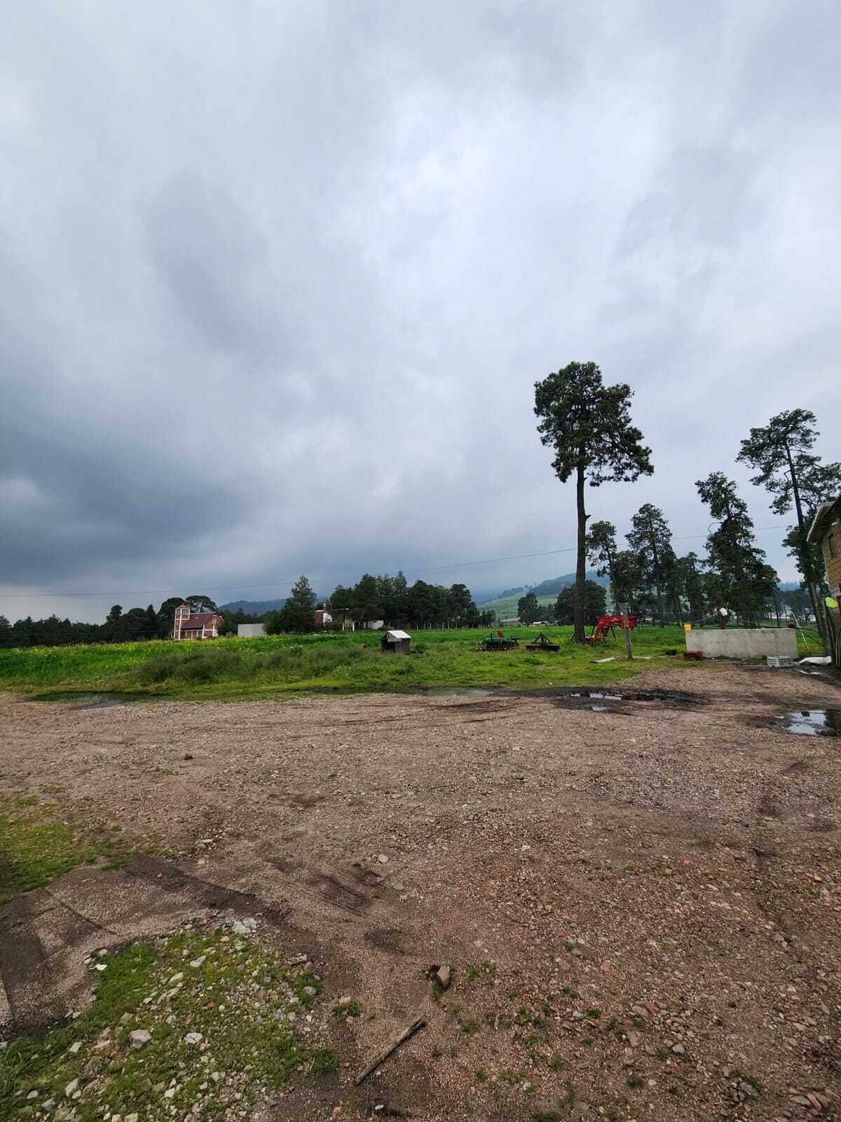 3 de 3: terreno