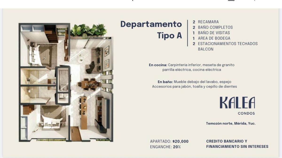 8 de 20