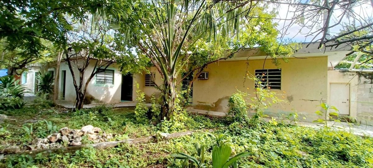 5 de 8: Jardin