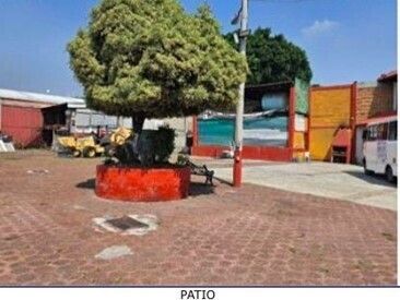 Imagen 6 de 10