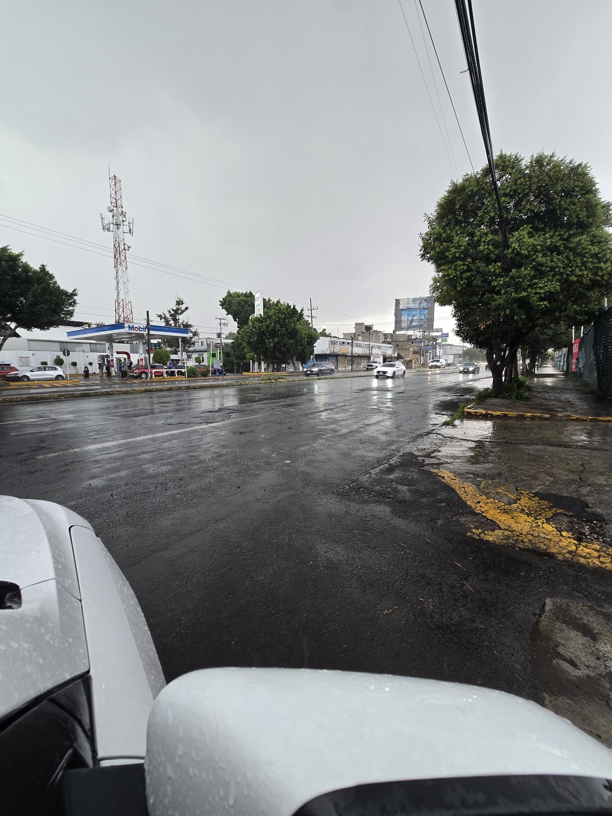 14 de 28