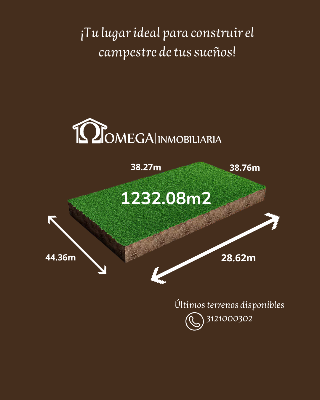 1 de 19