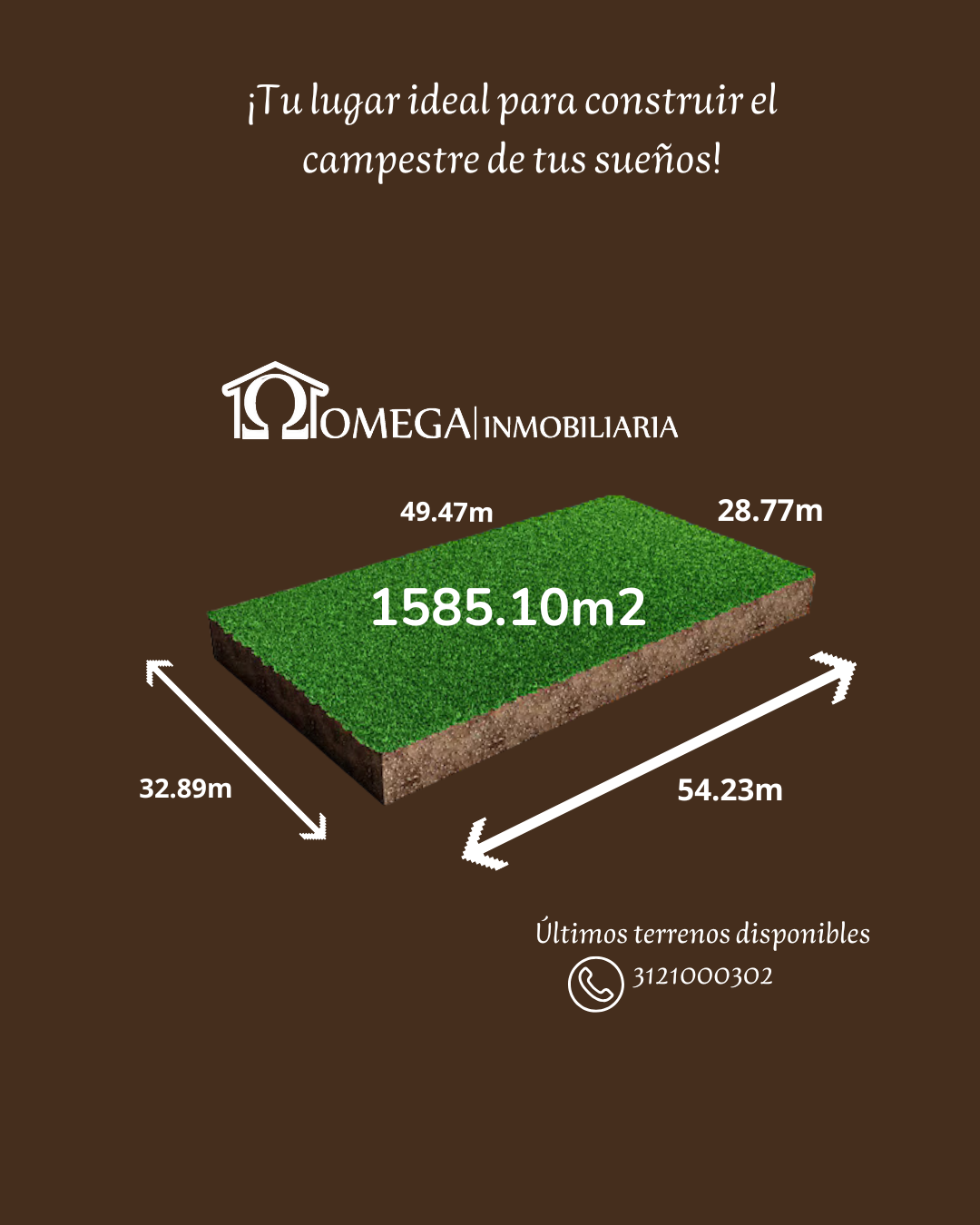 1 de 19