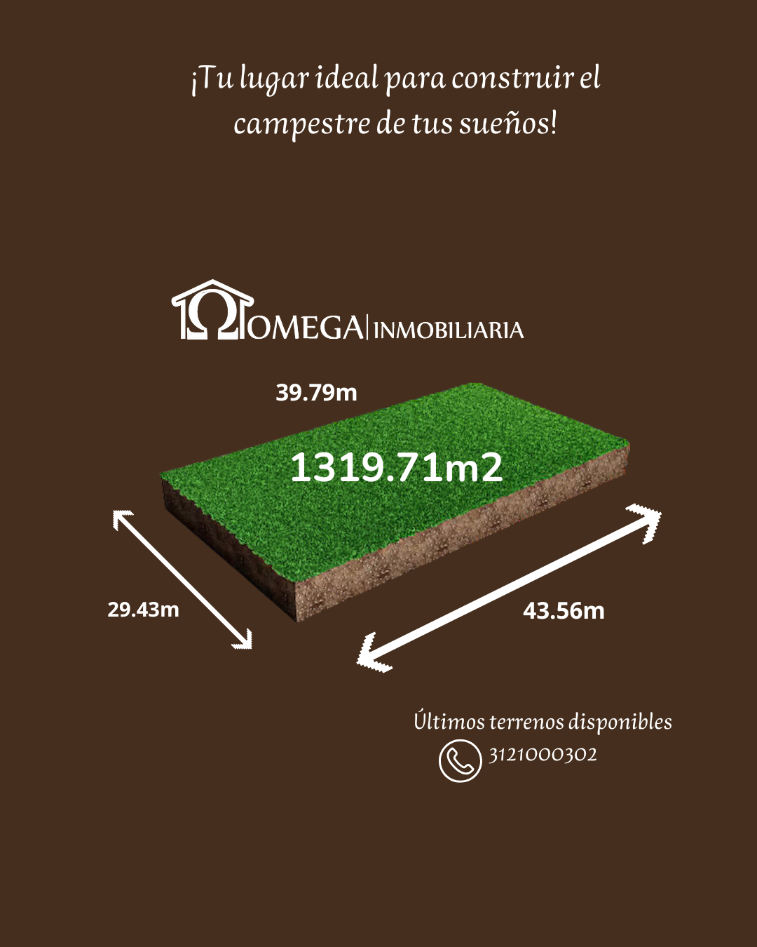 1 de 19