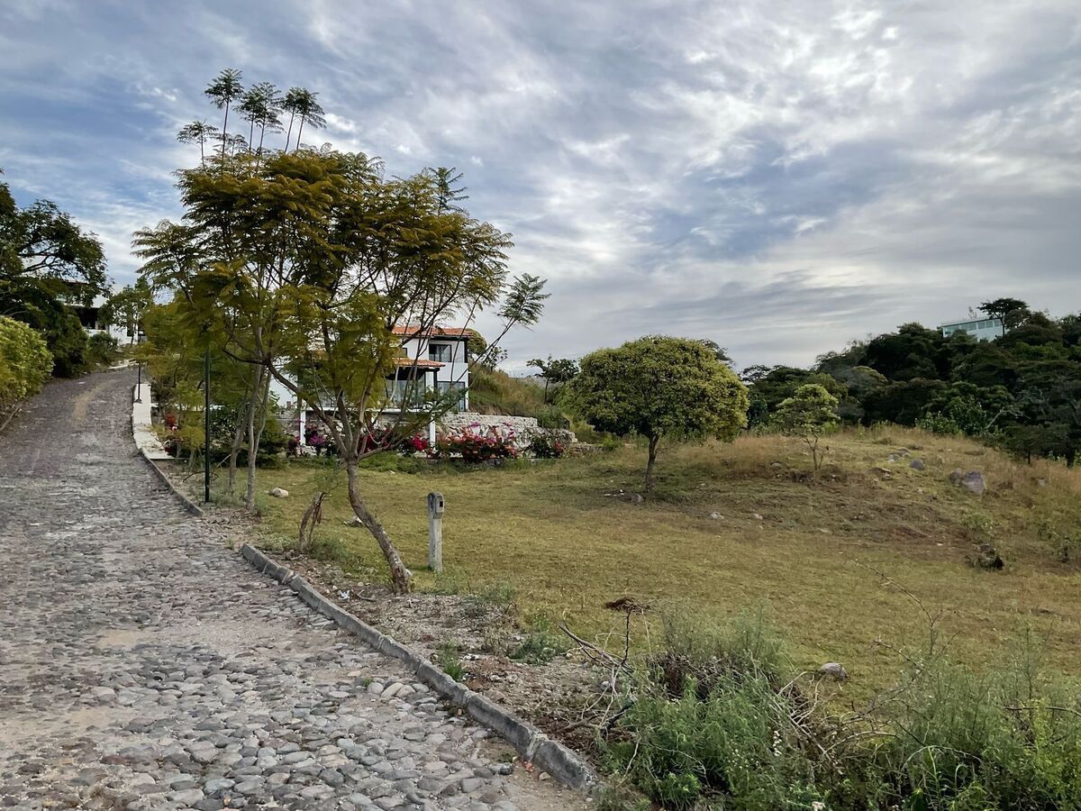 10 de 19
