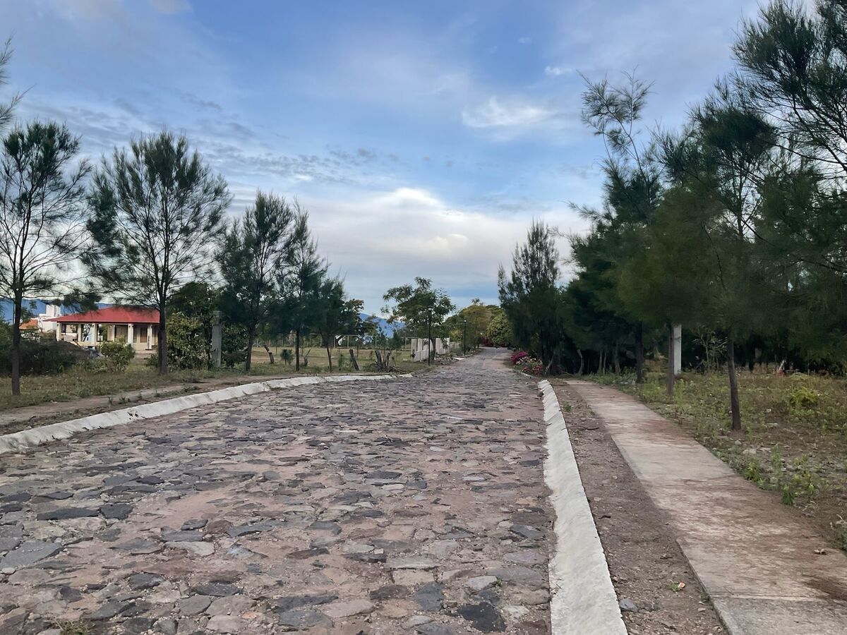 9 de 19