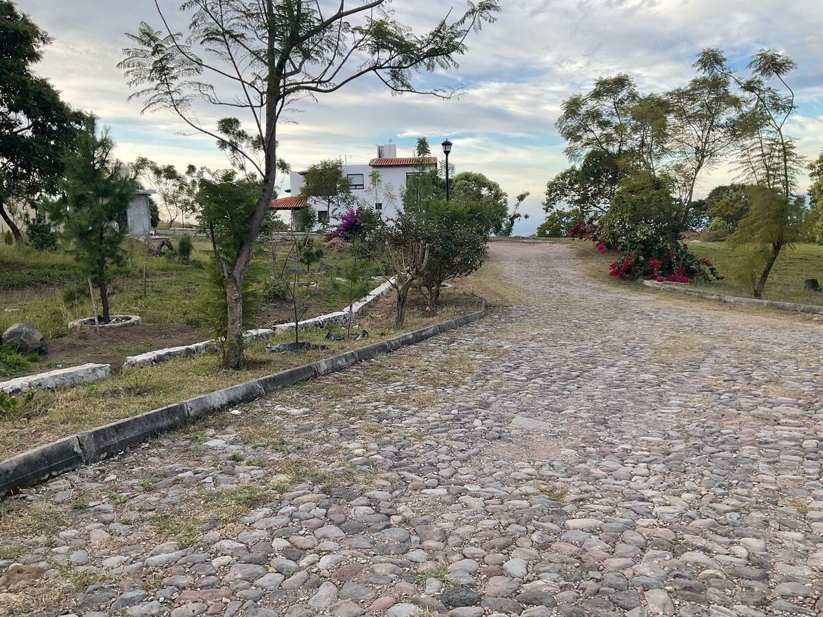 14 de 19