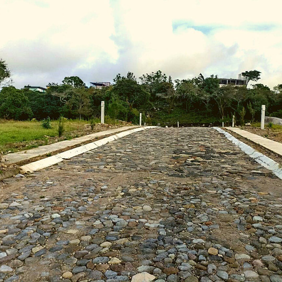 15 de 19