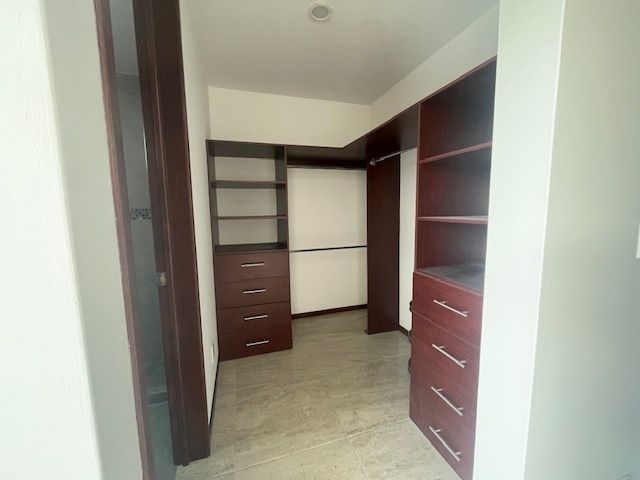 Imagen 7 de 10