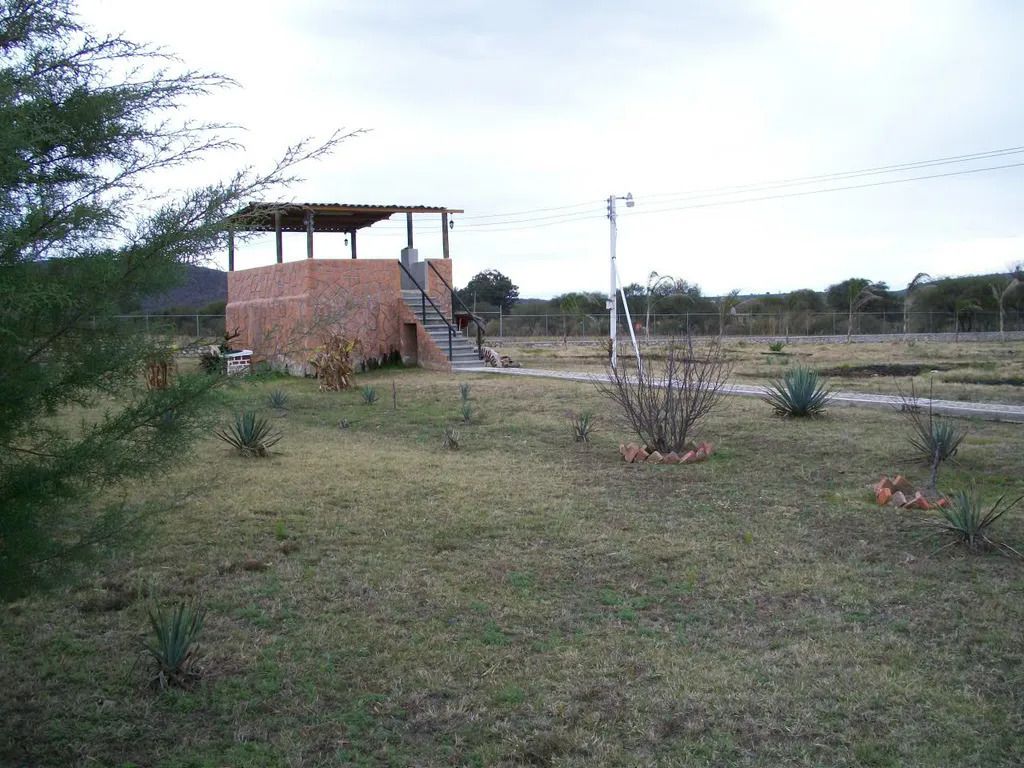 jardin