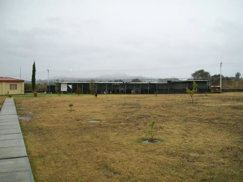 establos y jardin