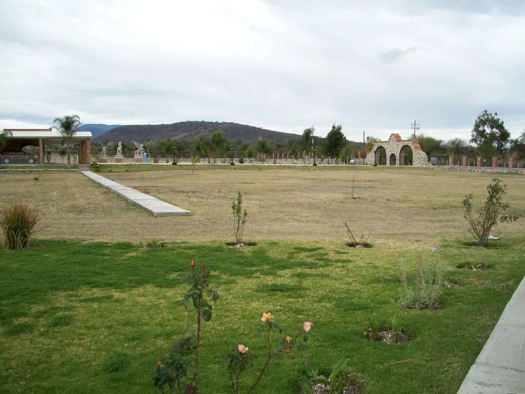 jardin