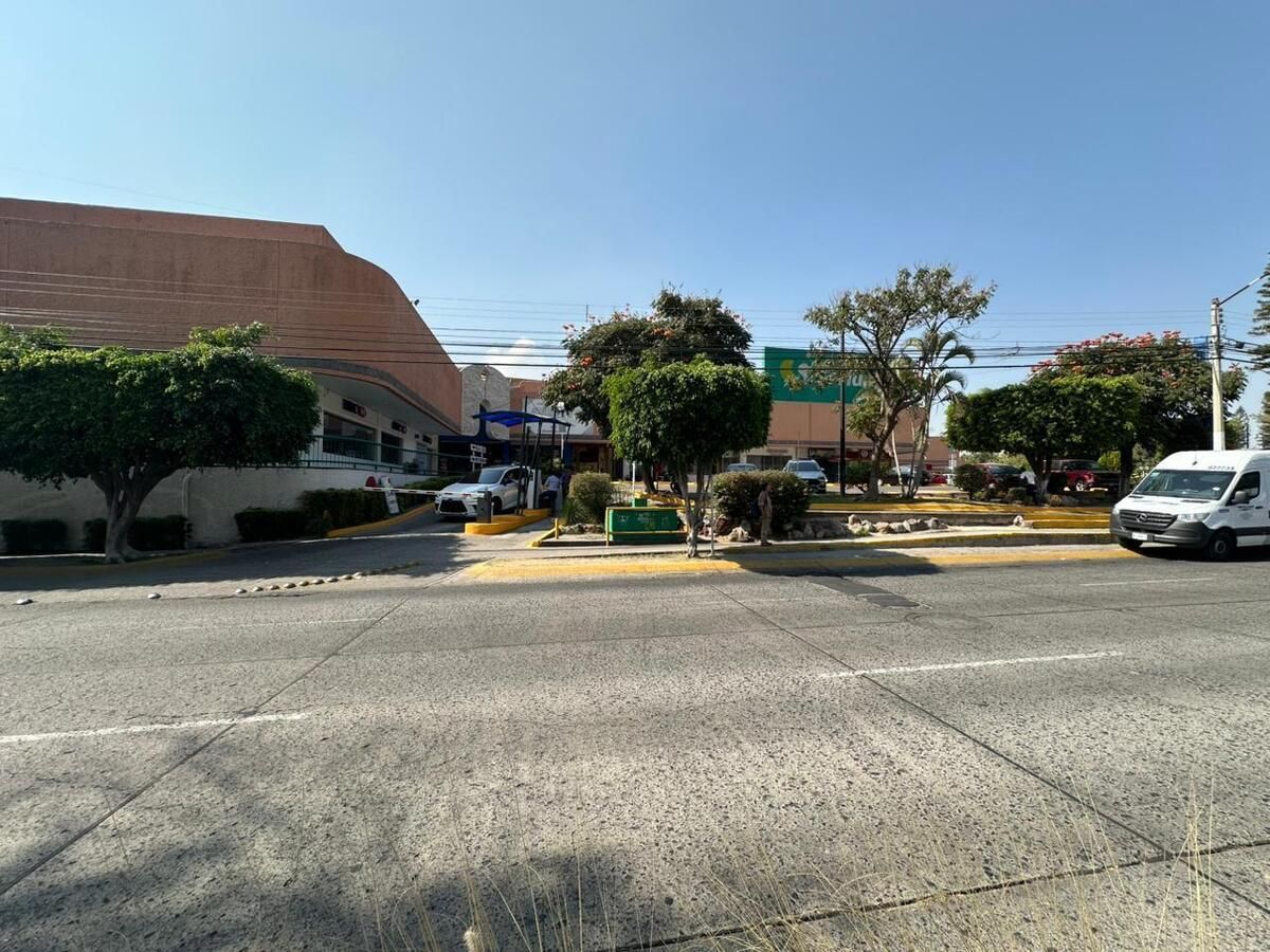 8 de 12